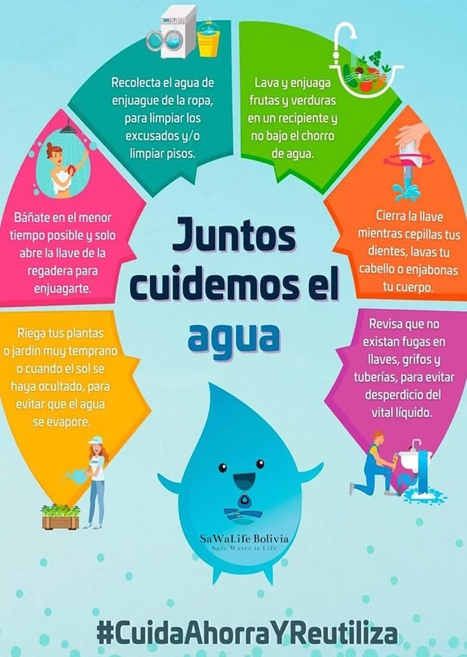 Sawalife 2021 - Consolidación y Determinación